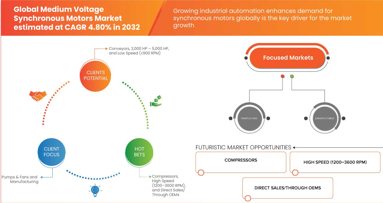 Medium Voltage Synchronous Motors Market