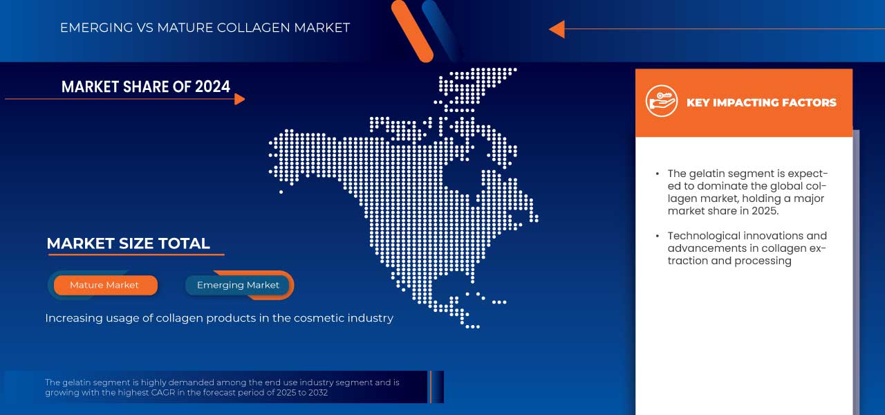 Collagen Market