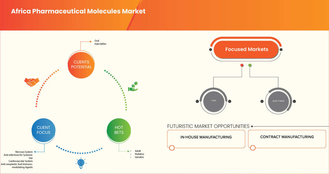 Africa Pharmaceutical Molecules Market