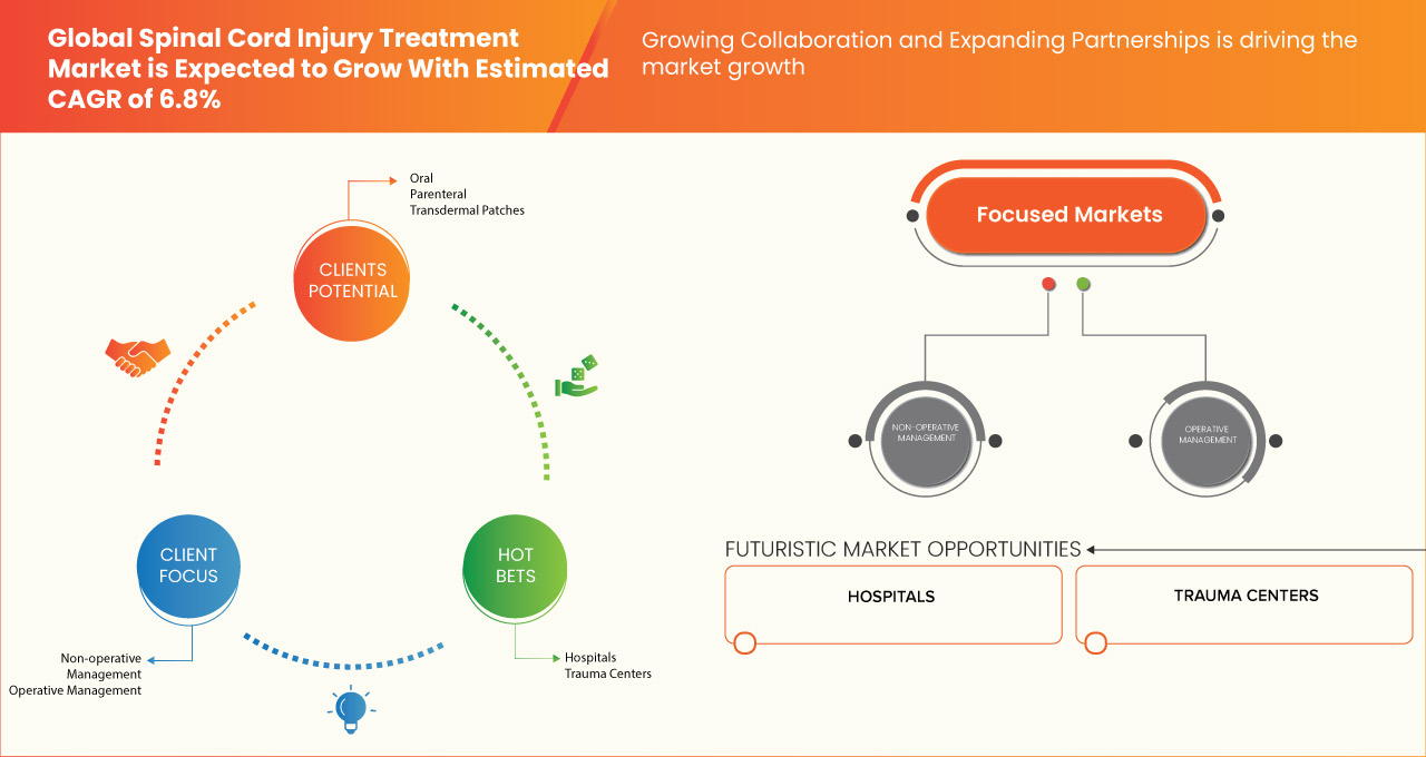 Spinal Cord Injury Treatment Market
