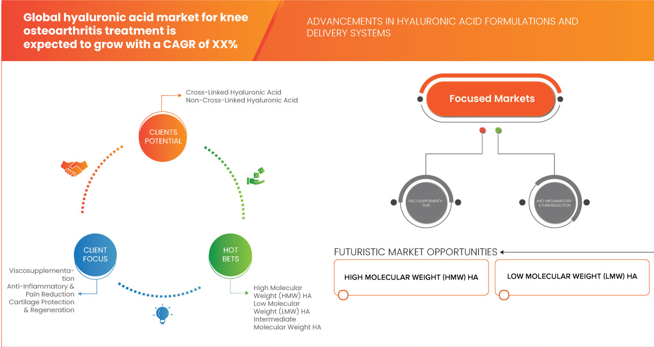 Hyaluronic Acid Market for Knee Osteoarthritis Treatment Market
