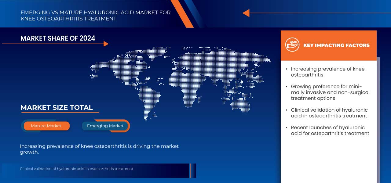 Hyaluronic Acid Market for Knee Osteoarthritis Treatment Market