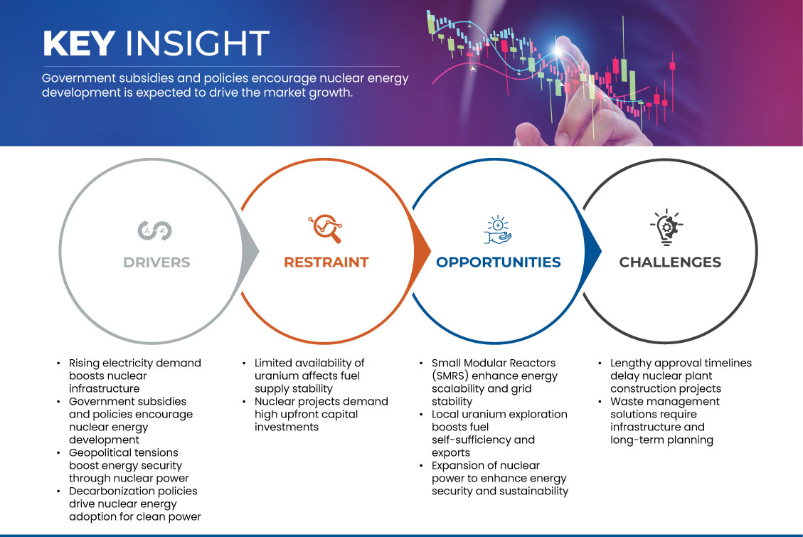 Nuclear Infrastructure Market
