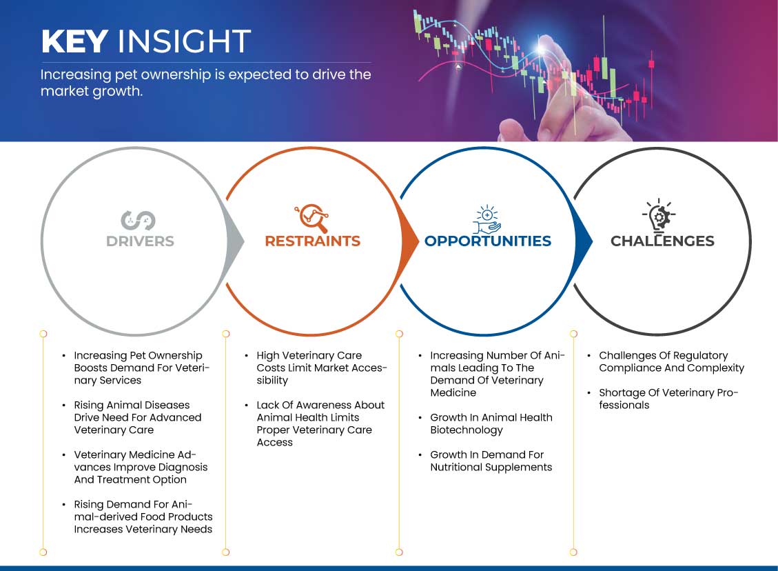 Markt für Veterinärmedizin