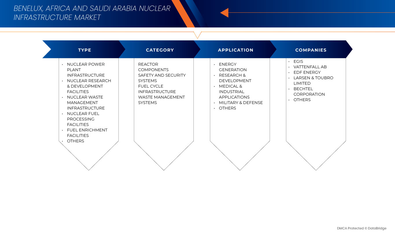 Nuclear Infrastructure Market
