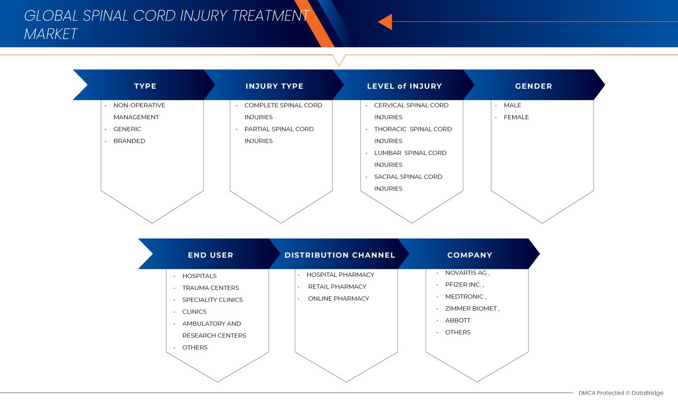 Spinal Cord Injury Treatment Market