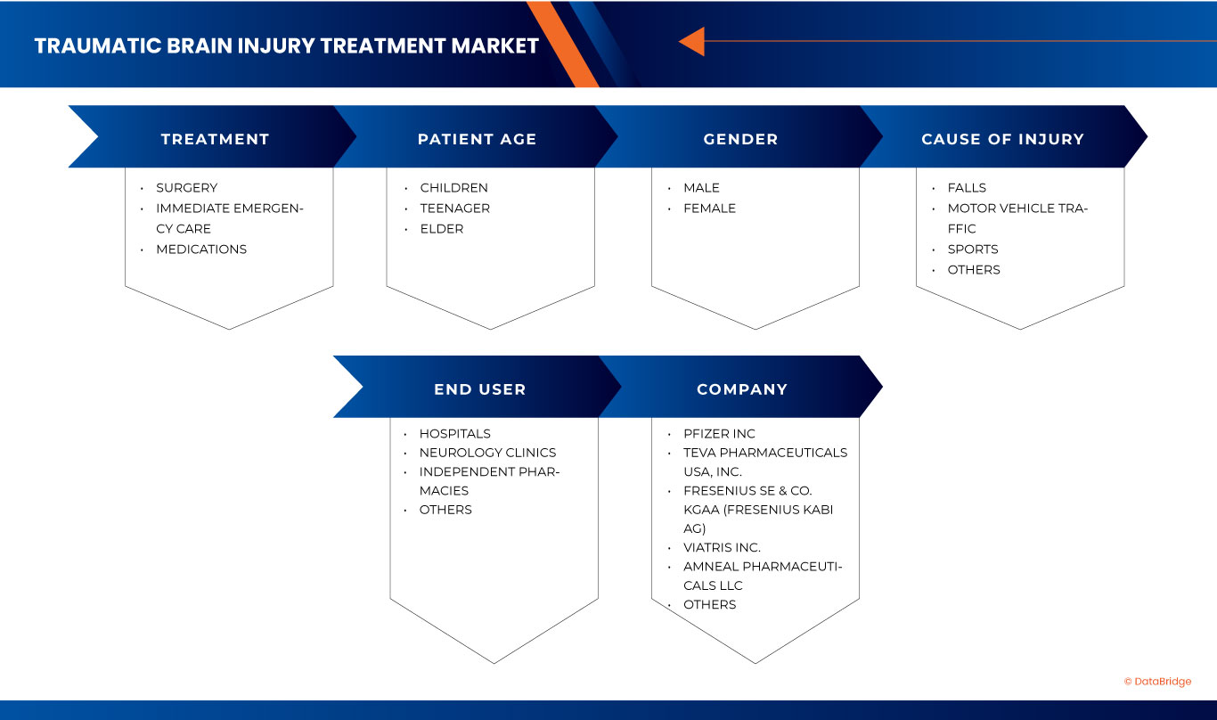 Traumatic Brain Injury Treatment Market