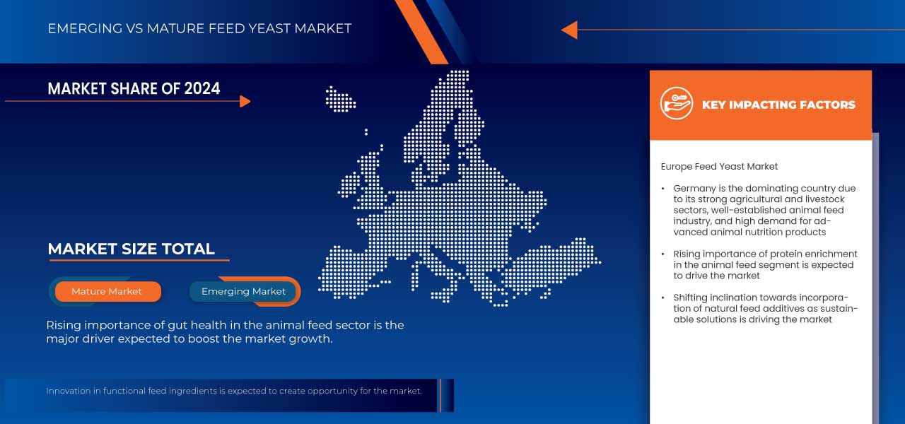 Feed Yeast Market