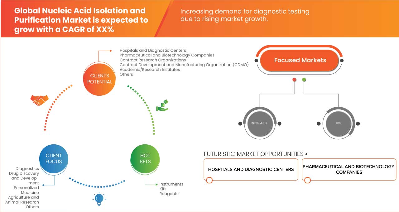 Nucleic Acid Isolation and Purification Market