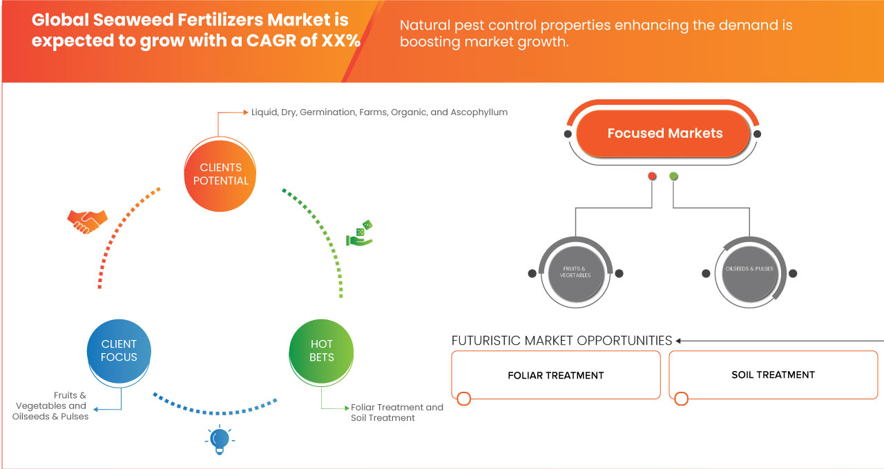 Seaweed Fertilizers Market
