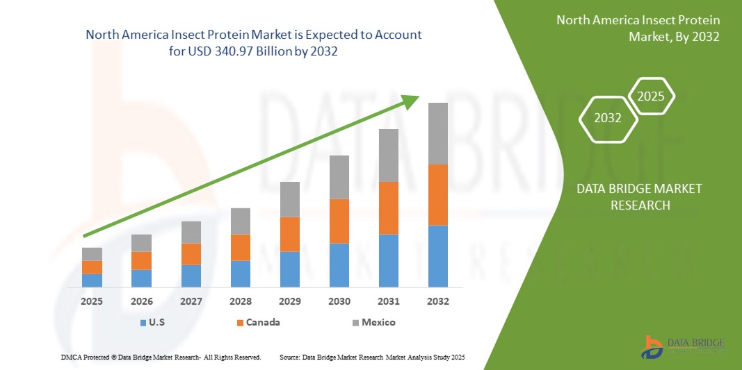 Insect Protein Market Z