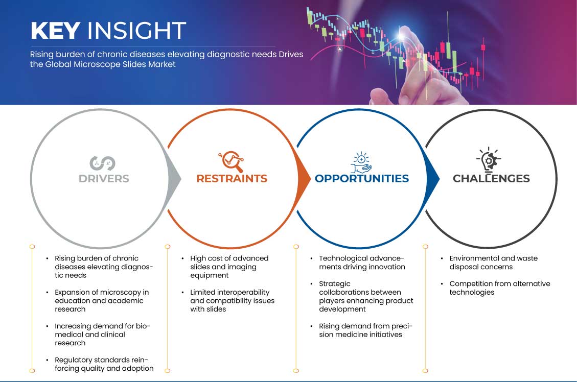 顕微鏡スライド市場