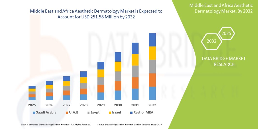 Middle East and Africa Aesthetic Dermatology Market 