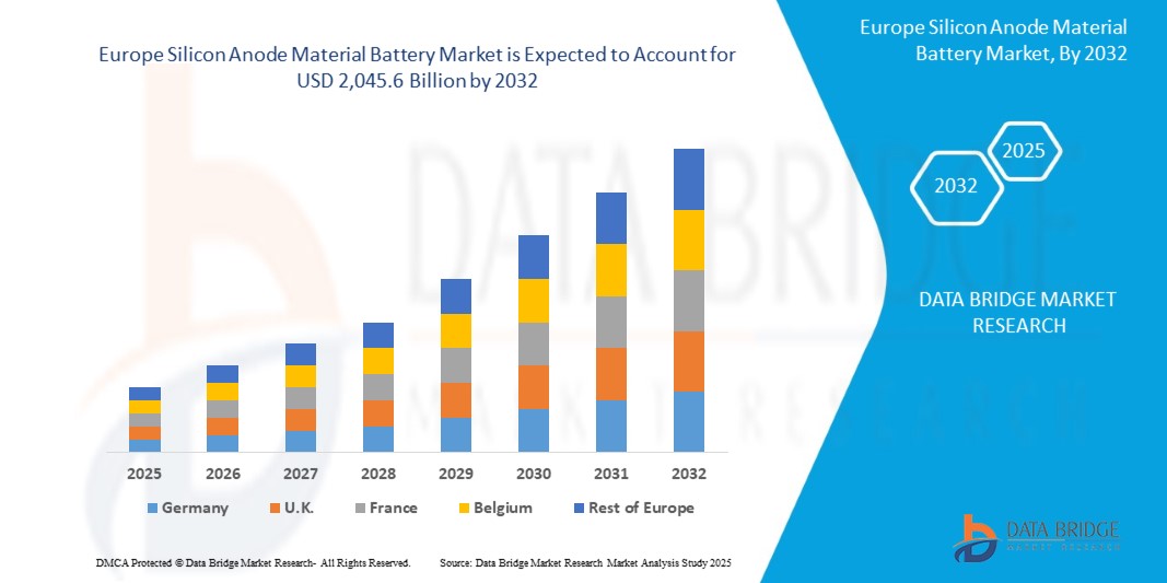 Silicon Anode Material Battery Market