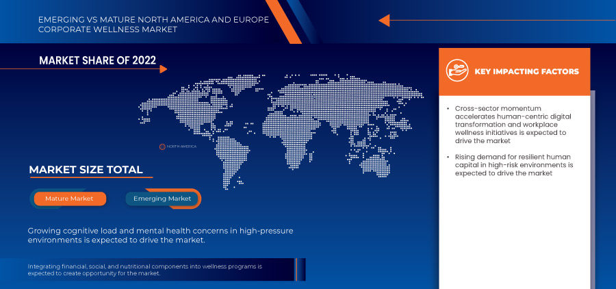 北美和歐洲企業健康市場
