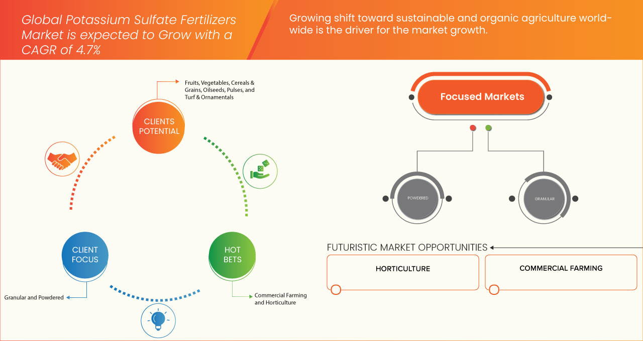 سوق أسمدة كبريتات البوتاسيوم
