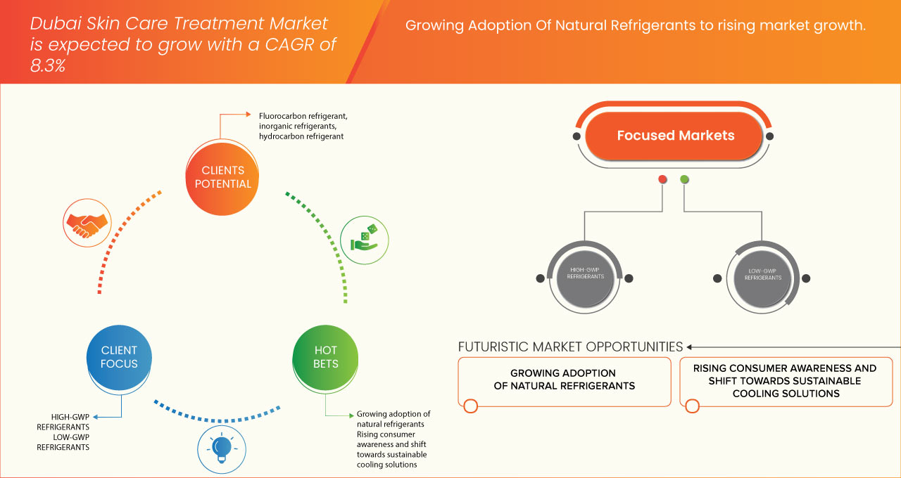 東南アジアの冷媒市場