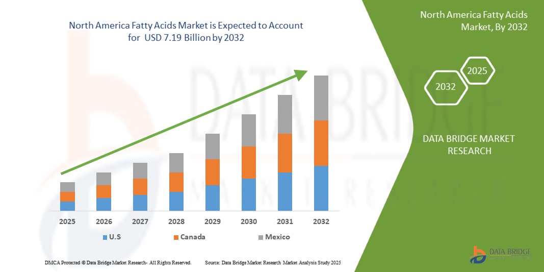 North America Fatty Acids Market