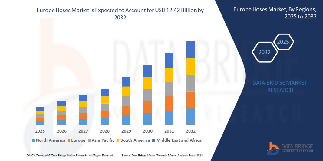 Europe Hoses Market z