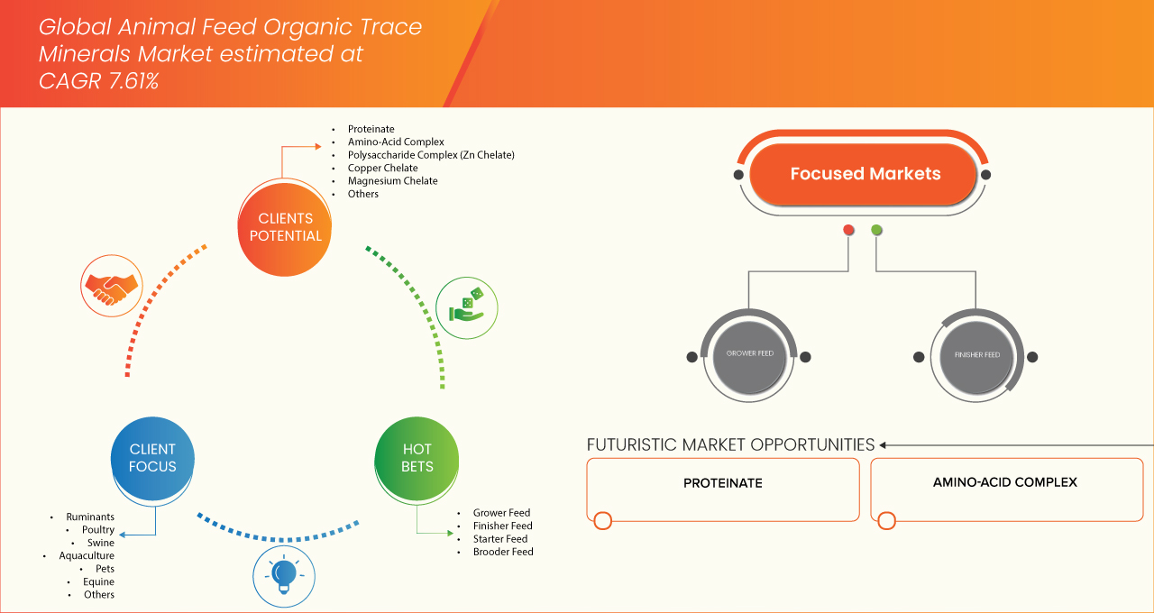 Animal Feed Organic Trace Minerals Market