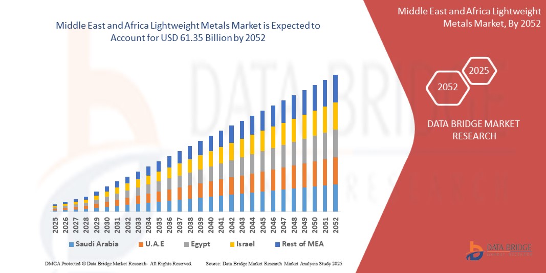 Middle East and Africa Lightweight Metals Market