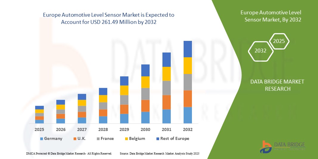 Automotive Level Sensor Market z