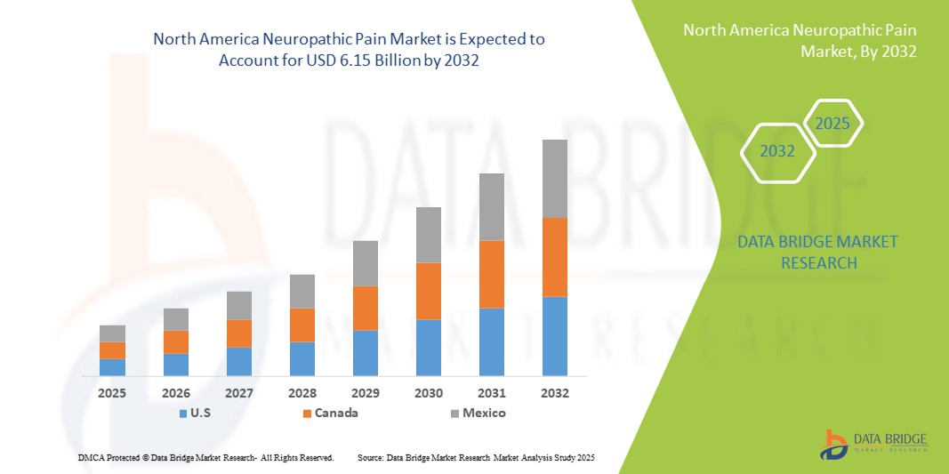 Marché nord-américain de la douleur neuropathique z