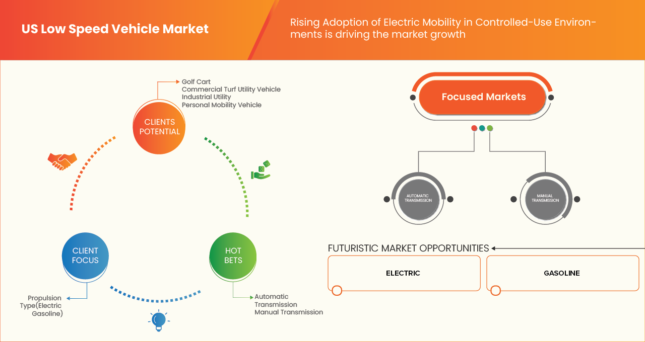 U.S. Low Speed Vehicle Market