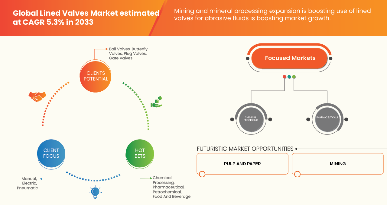 Lined Valve Market