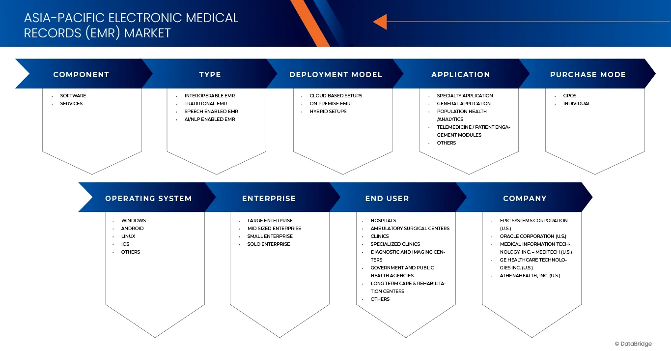 Asia-Pacific Electronic Medical Records (EMR) Market