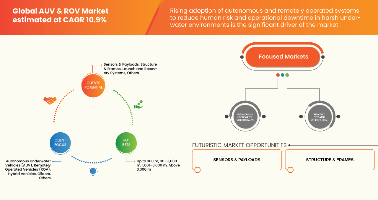 AUV and ROV Market