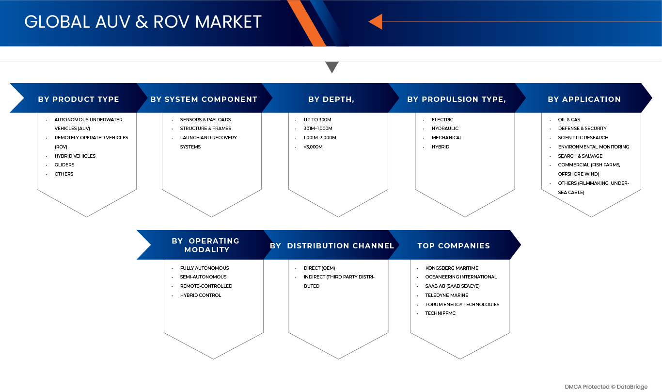 AUV and ROV Market