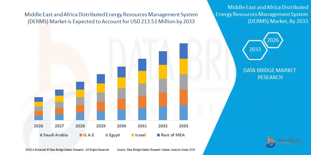Middle East and Africa Distributed Energy Resources Management System (DERMS) Market