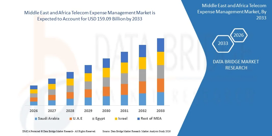 Mercado de Gestão de Despesas de Telecomunicações no Oriente Médio e África