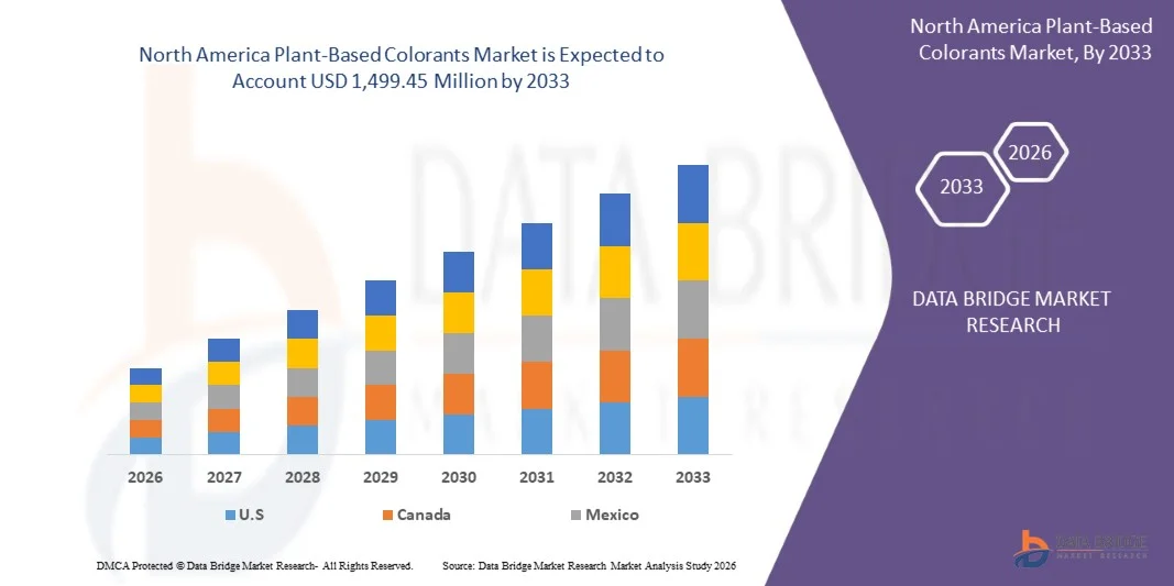 North America Plant-Based Colorants Market