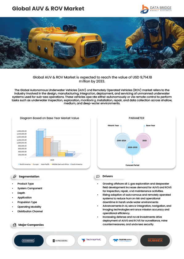 AUV and ROV Market