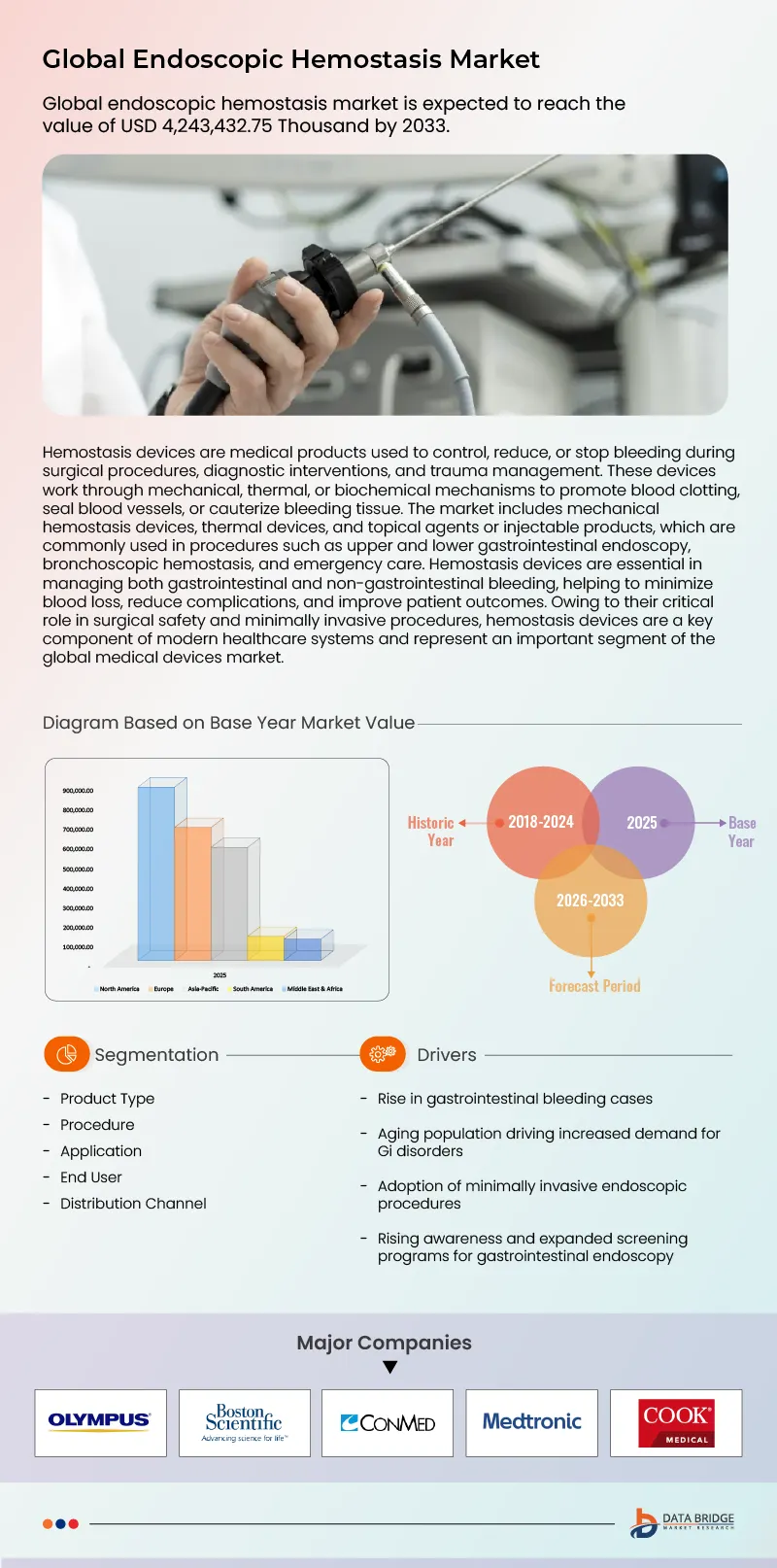 Endoscopic Hemostasis Market