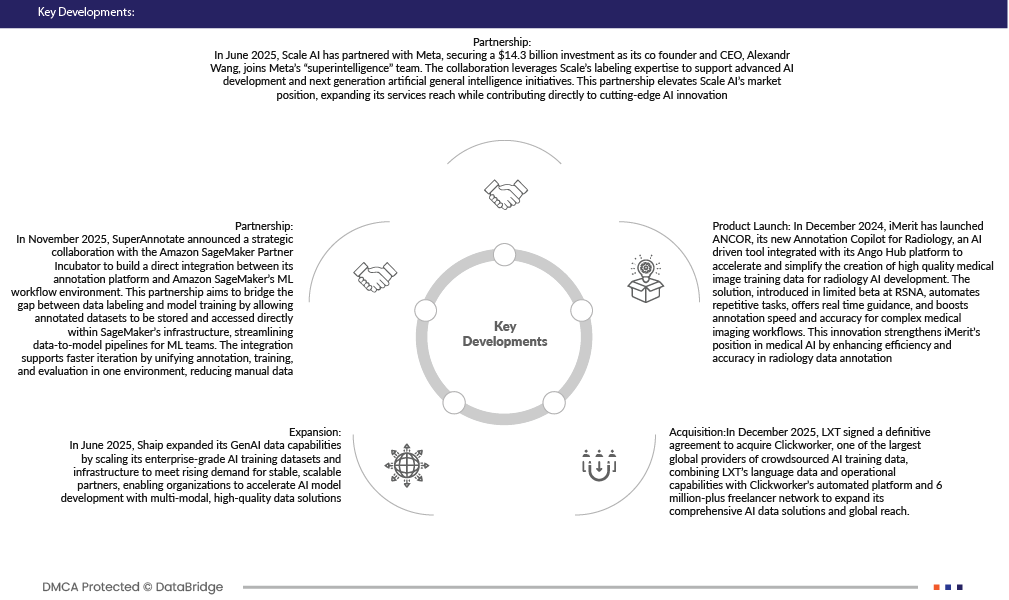 AI Annotation Market