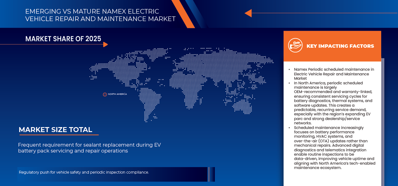 Namex Electric Vehicle Repair and Maintenance Market
