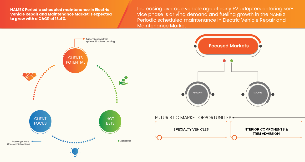 Namex Electric Vehicle Repair and Maintenance Market