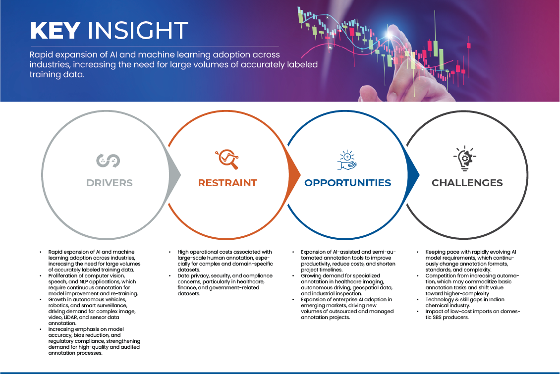 AI Annotation Market