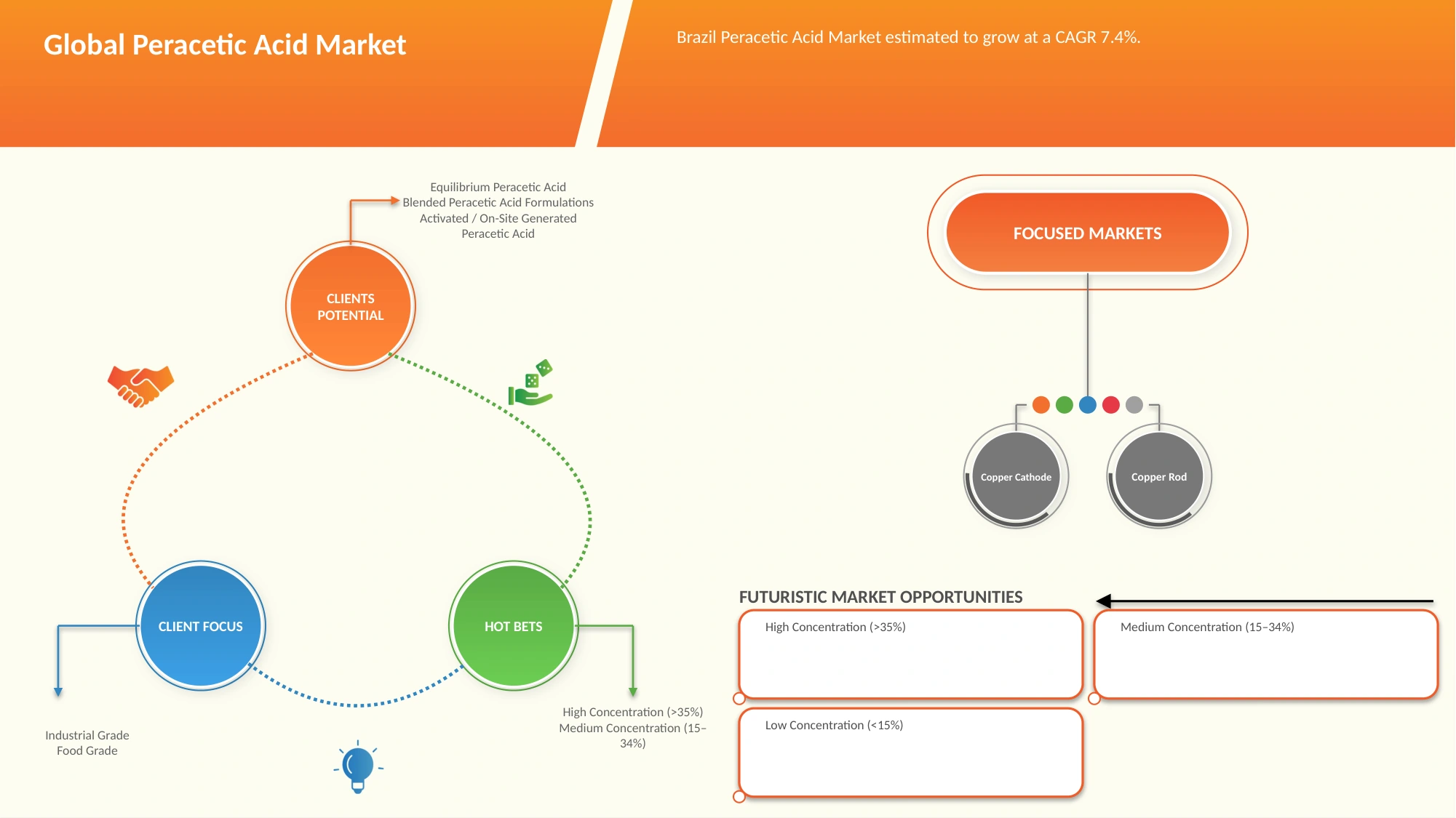 Brazil Peracetic Acid Market
