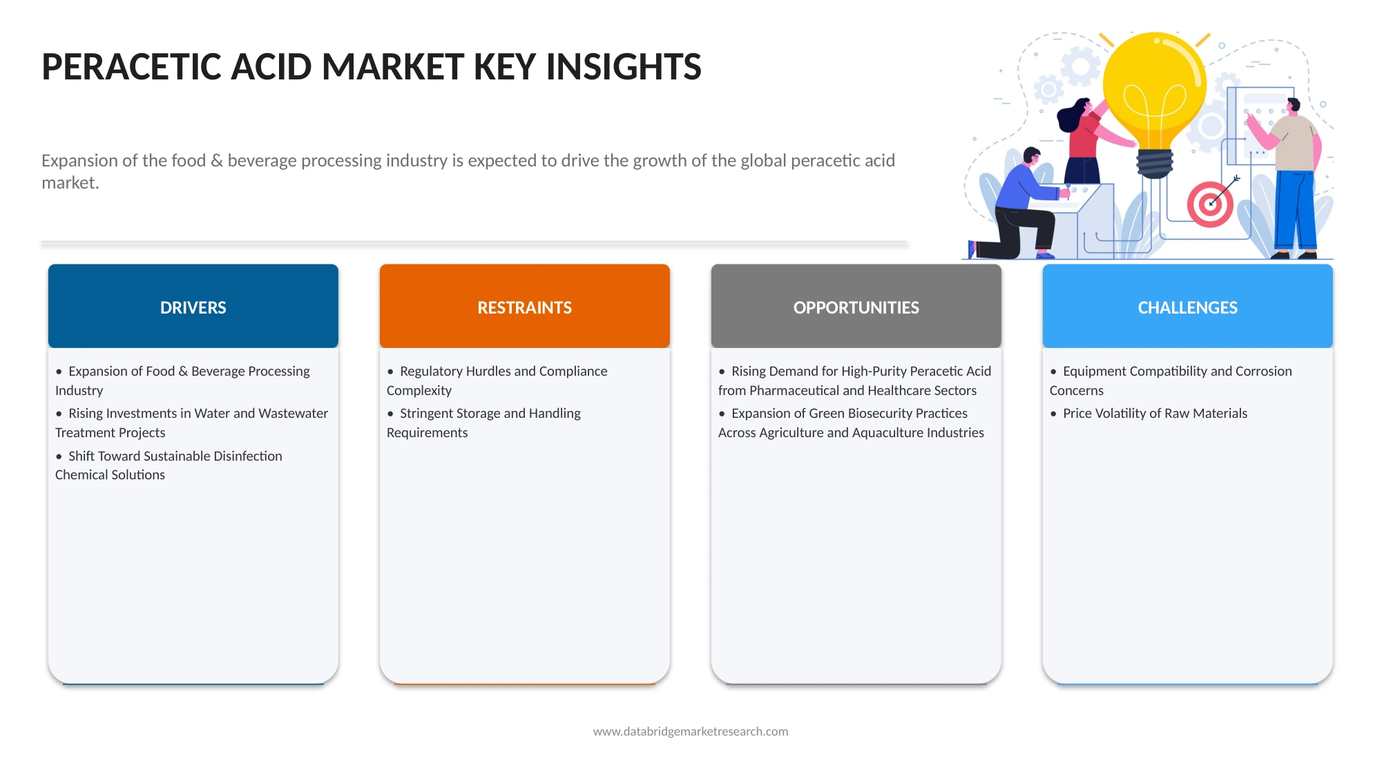 Brazil Peracetic Acid Market