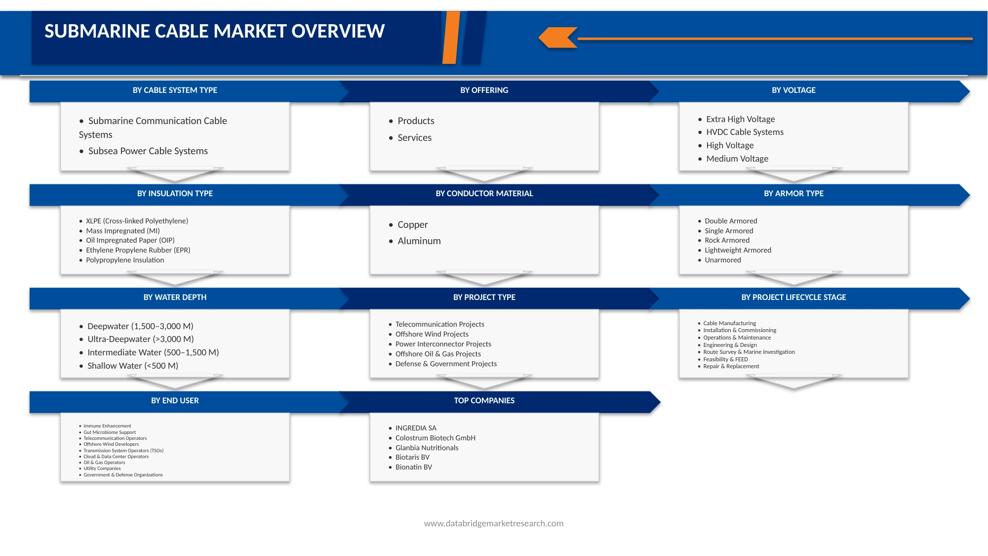 Subsea Cable Market