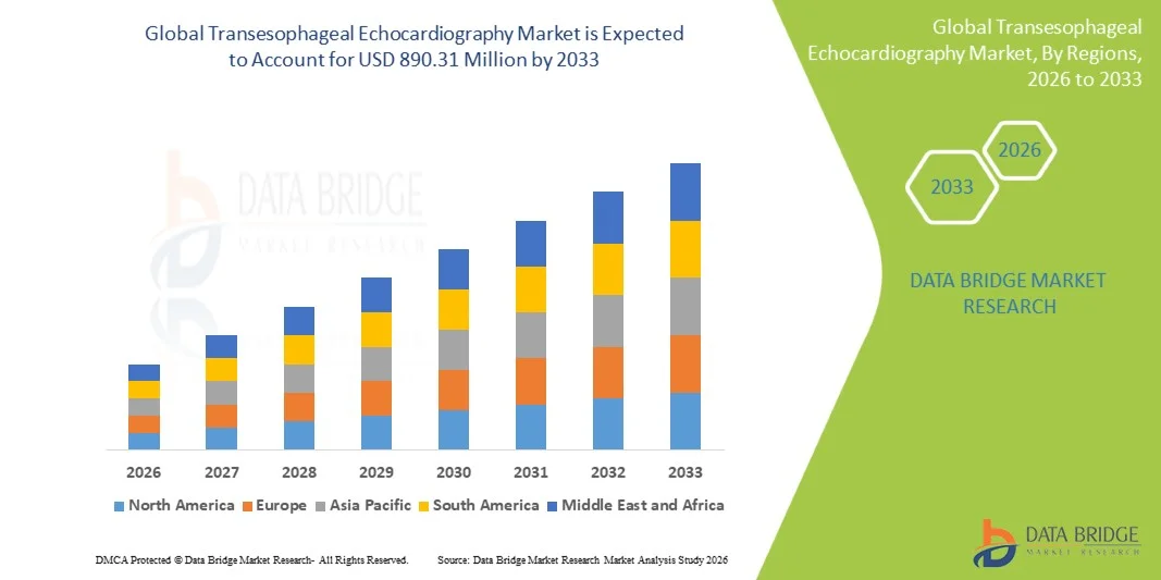 Transesophageal Echocardiography Market
