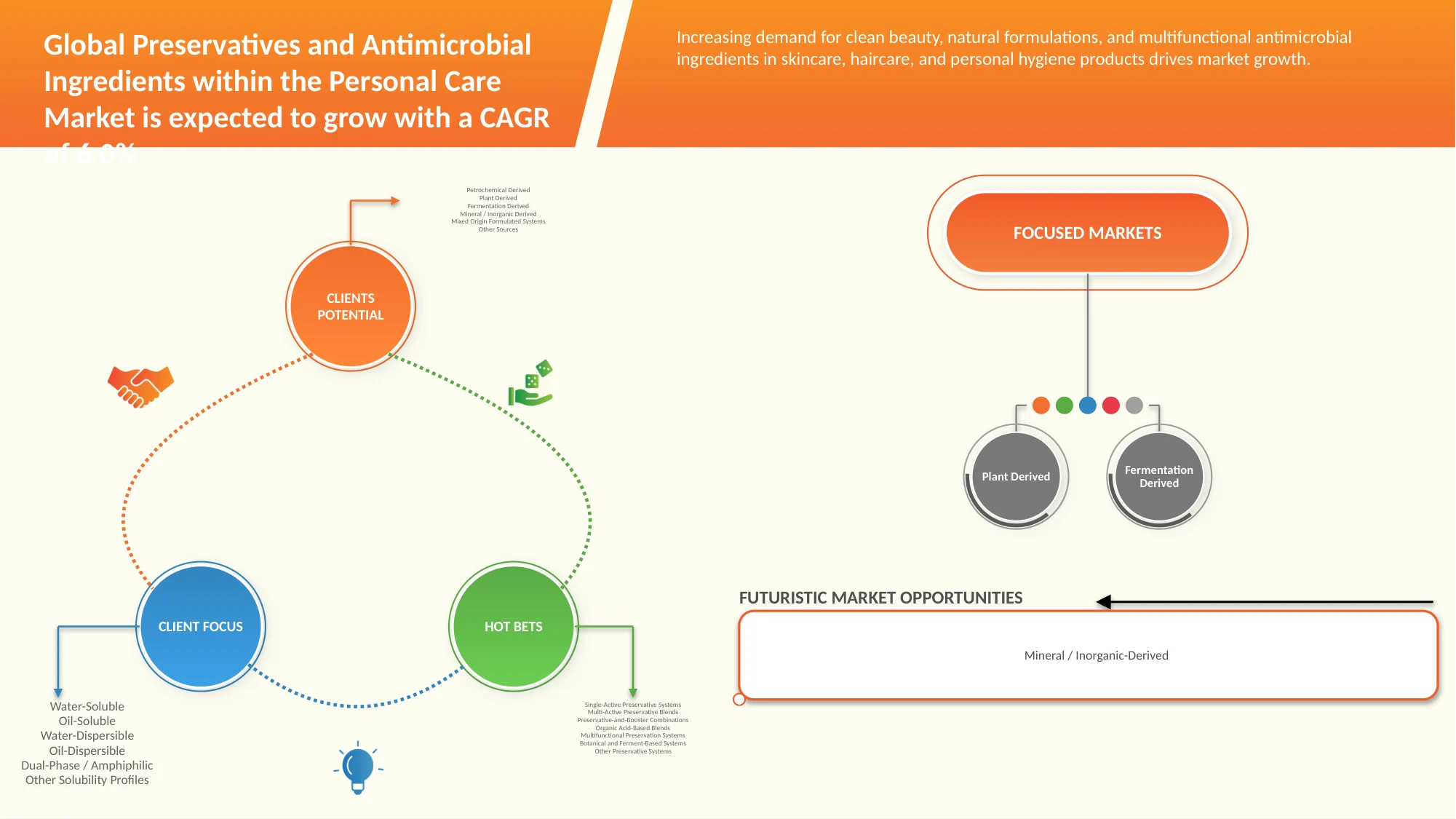 Preservatives and Antimicrobial Ingredients within the Personal Care Market