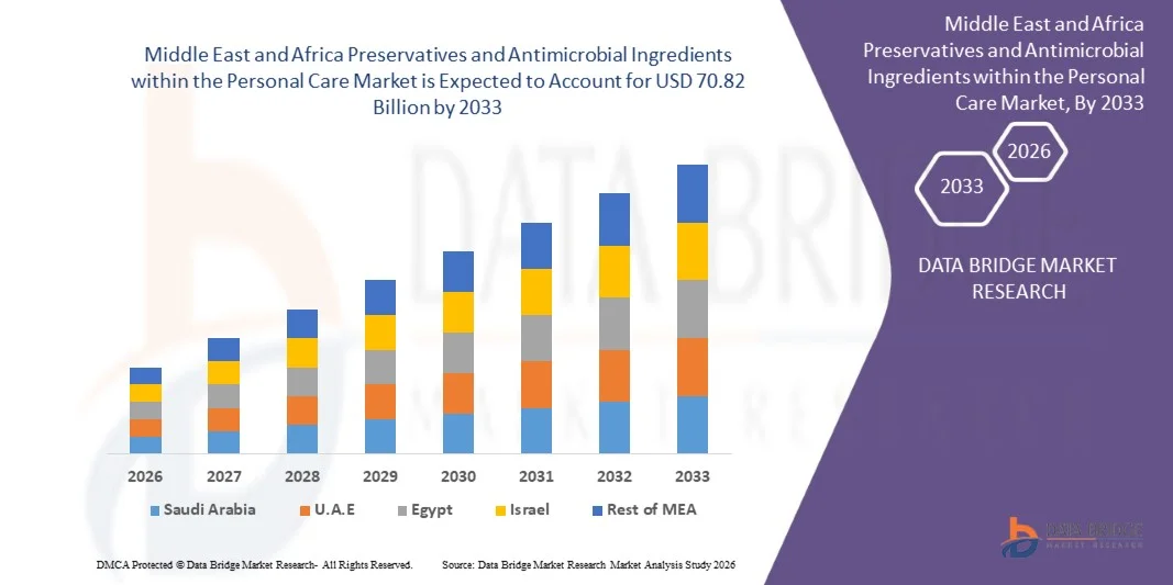 Middle East and Africa Preservatives and Antimicrobial Ingredients within the Personal Care Market