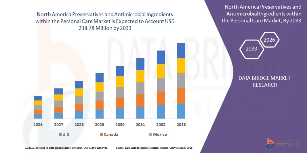 North America Preservatives and Antimicrobial Ingredients within the Personal Care Market